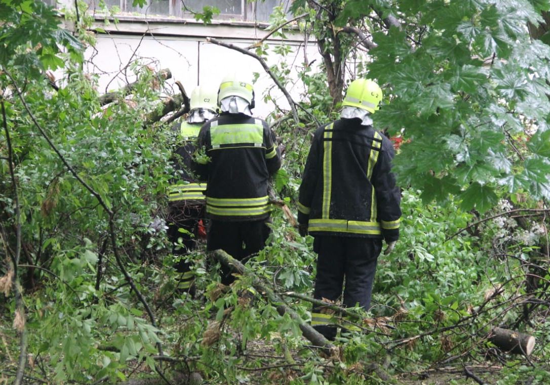 ��������� �����