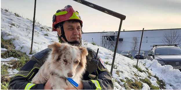 ���������� �������-������������� ������ ������� ������ ���������, ����������� � ������ � �������� �����