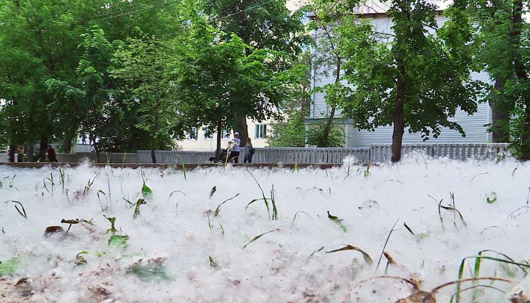 ��������� ��� ����� �������� ����