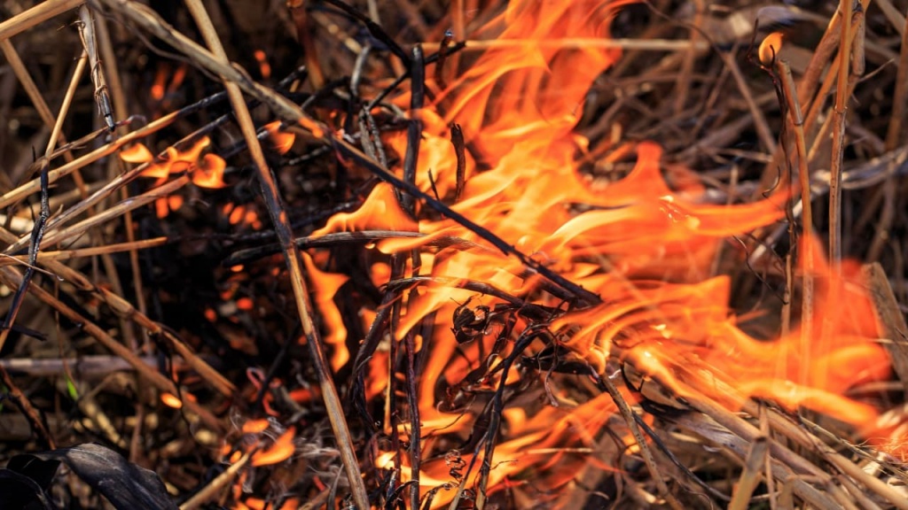 ��������� ������-������ ������������� ������