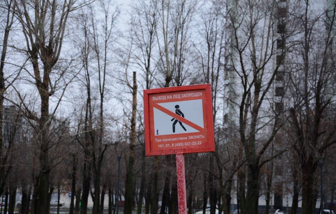 ���������� ���������� ������������ ������� �� ������- ���������� ������ ��������� ����� ������� ������