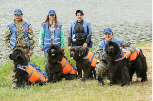         ��� ������ �������� ������� ����� �� ������� �������