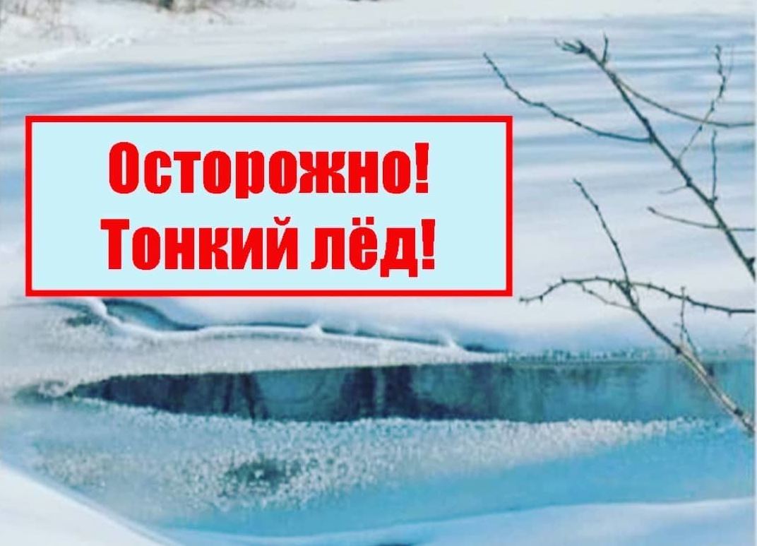 ��������: ��������