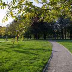 ����� �� ���������� ����� ������� � �������