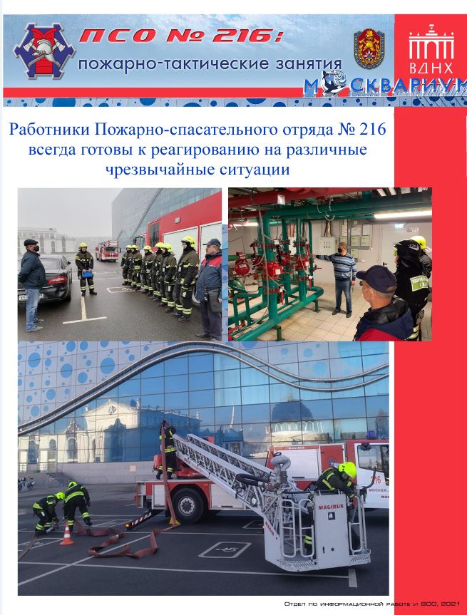 �������-����������� ������� � ������������