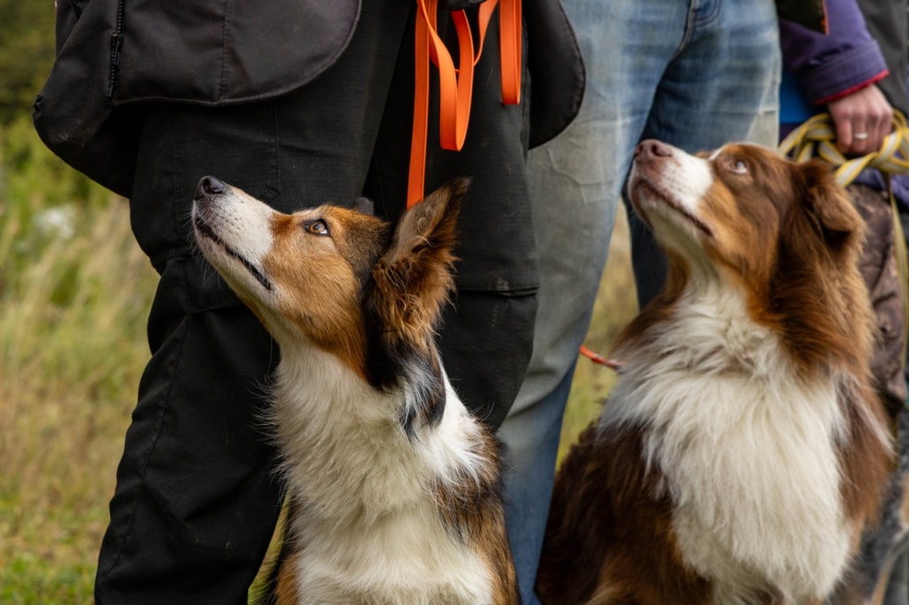 aToD_OoCScwB1MgPZh06XUi4QhQd8NUzWMVdAa7YVHMPVj0DQPyEHR_zNEeinY4Xy-7egzMe4XhsL1s0OuFHkbO0.jpg aToD_OoCScwB1MgPZh06XUi4QhQd8NUzWMVdAa7YVHMPVj0DQPyEHR_zNEeinY4Xy-7egzMe4XhsL1s0OuFHkbO0.jpg