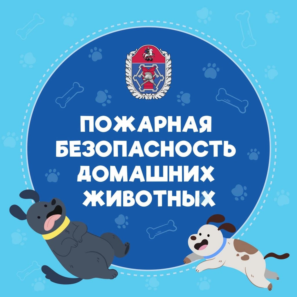 s-V5sRjYqUshJZJ-qqlrdYcYhAa_WSaF1a7TK_-bsJ6jetPnznREFOPuQSi9D-f-_CY1NN9xvqh4dyj4QzYzuHLY.jpg s-V5sRjYqUshJZJ-qqlrdYcYhAa_WSaF1a7TK_-bsJ6jetPnznREFOPuQSi9D-f-_CY1NN9xvqh4dyj4QzYzuHLY.jpg